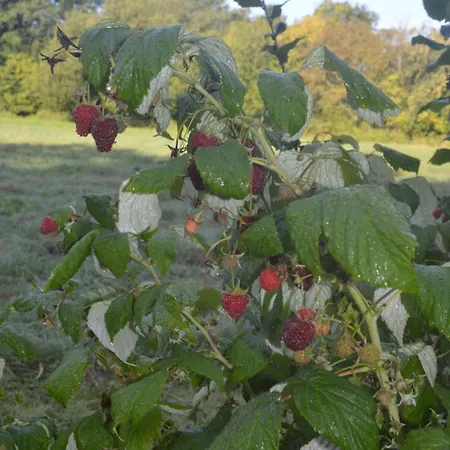 Cozy Getaway Holse بيت للعطل Brenderup