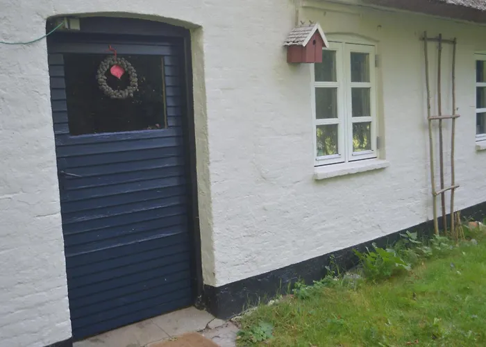 Cozy Getaway Holse